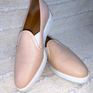 Everlane Women's Pale Pink Perforated The Leather Street Shoe Sz 6.5